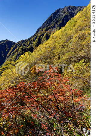 草すべりの登山道の紅葉と南アルプス・北岳山頂 草すべりの登山道の紅葉と南アルプス・北岳山頂 86124176