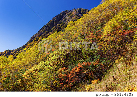 草すべりの登山道の紅葉と南アルプス・北岳山頂 草すべりの登山道の紅葉と南アルプス・北岳山頂 86124208