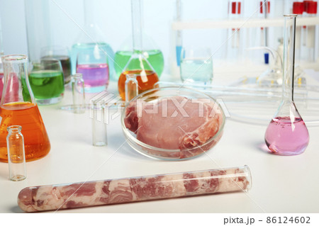 Artificial Meat Inside Test Tube and Petri Dish - Lab Photo 86124602