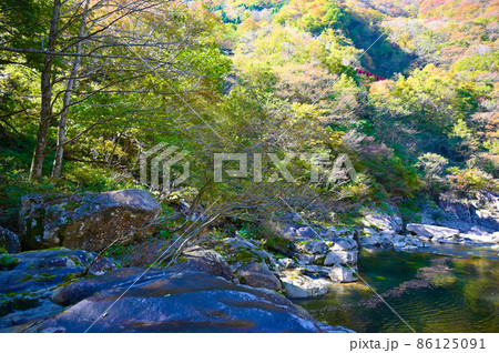 九頭竜渓 魚止 大野市 九頭竜渓 魚止 大野市 86125091