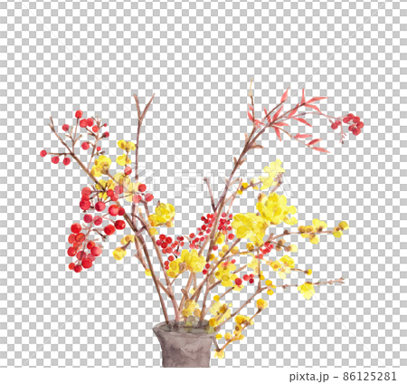 花瓶に生けたロウバイとナンテン【手描き水彩画】素材  白バック 透過 コピースペースあり 86125281