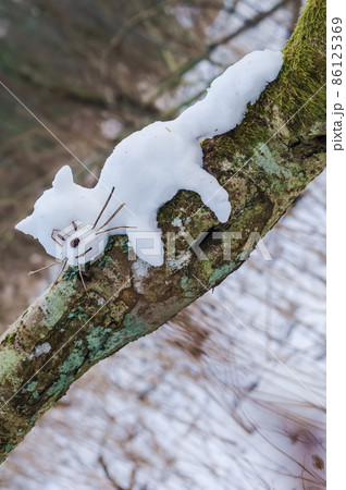 Snowman cat on a tree. Animal cat out of the snow. 86125369