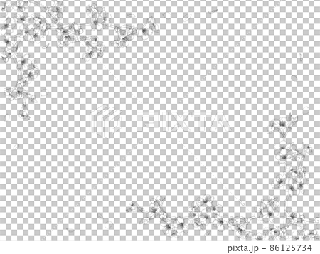 Sakura Line Frame Sakura line drawing frame ① (black, lick) - Stock Illustration ...