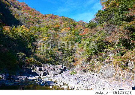 九頭竜渓魚止　大野市 86125873