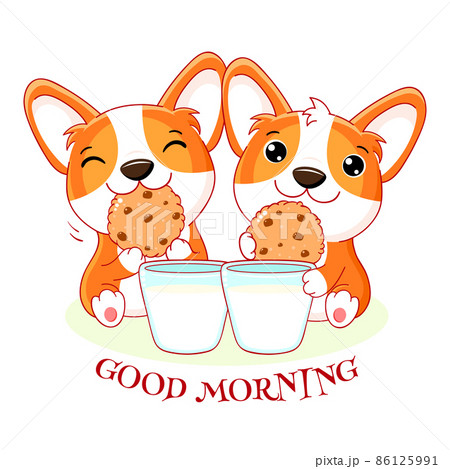 Two cute corgi puppies with cookies and milk. Kawaii little dogs are happy to eat cookies 86125991