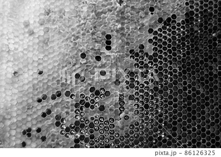 Drop of bee honey drip from hexagonal honeycombs Drop of bee honey drip from hexagonal honeycombs 86126325