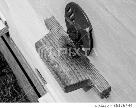 Winged bee slowly flies to beehive collect nectar 86126444