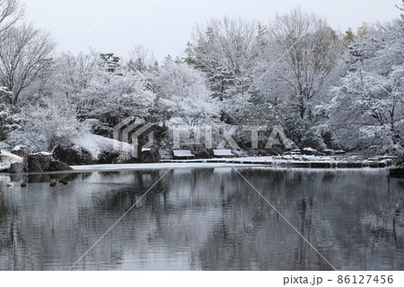 冬のびわこ文化公園の庭園の風景 冬のびわこ文化公園の庭園の風景 86127456