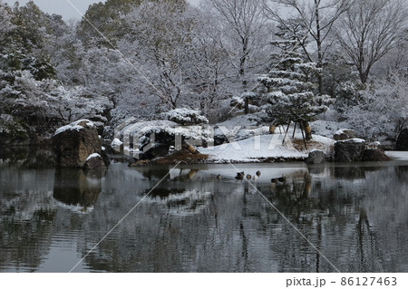 冬のびわこ文化公園の庭園の風景 86127463