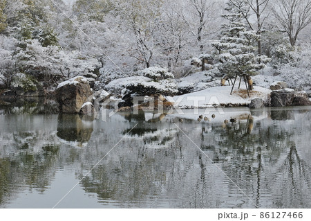 冬のびわこ文化公園の庭園の風景 冬のびわこ文化公園の庭園の風景 86127466