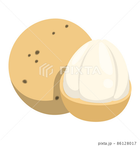 Langsat tropical fruit vector isolated. Exotic plant 86128017