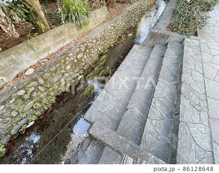 東京とは思えない癒し空間　お鷹の道 86128648