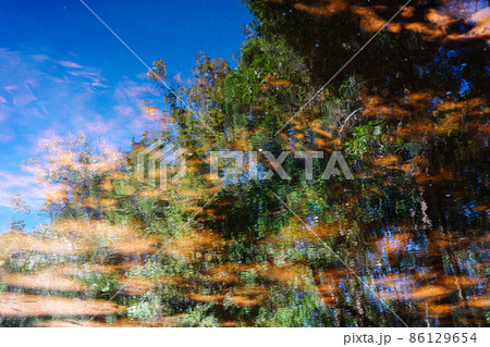 Abstract scene of tree and sky reflecting on water surface. 86129654