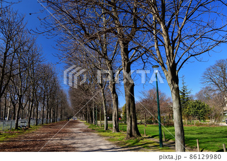 フランス・パリの公園「Jardins des Champs-Élysées」2021年2月27日撮影 86129980
