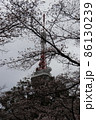 宇都宮タワーと桜 86130239