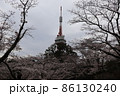 宇都宮タワーと桜 86130240