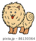 Cartoon illustration for children, Pomeranian 86130364