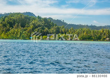 Several Huts on a Tropical Shore With Jungle Several Huts on a Tropical Shore With Jungle 86130466