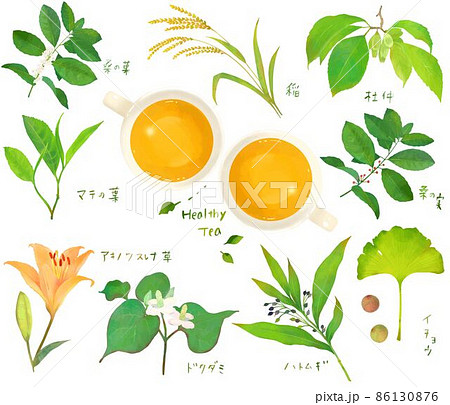 リラックスと美容のための植物の葉の健康茶とティーカップのセットイラスト素材 リラックスと美容のための植物の葉の健康茶とティーカップのセットイラスト素材 86130876