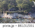 五浦岬公園と桜 86131501