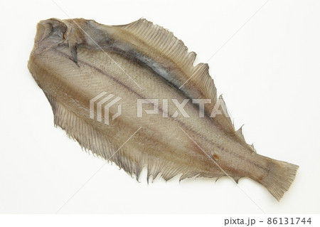 ナメタガレイ(干物) ナメタガレイ(干物) 86131744