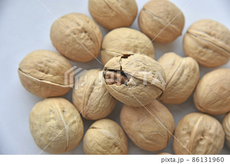 Walnuts in a shell on a white background 86131960