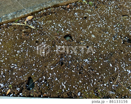 あられ(霰)かひょう(雹)のような小さな氷の粒が地面に広がって落ちている/The hail 86133156