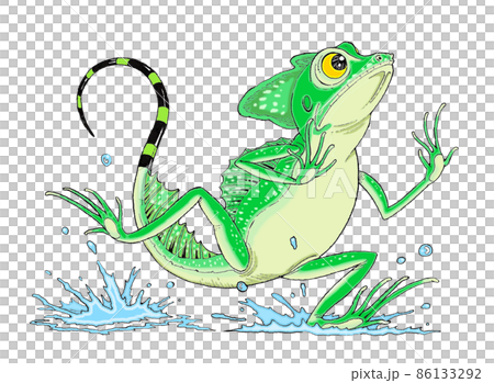 Running green basilisk Running green basilisk 86133292