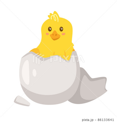 Yellow Chick Breaks Free Of The Shellのイラスト素材