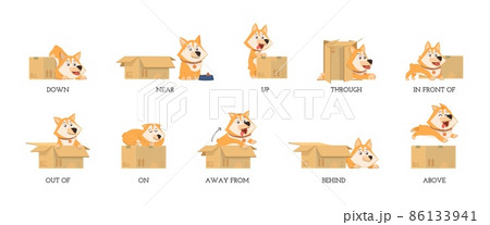 English preposition. Funny study prepositions, cartoon dog and box. Foreign language learning materials, grammar child education decent vector poster 86133941