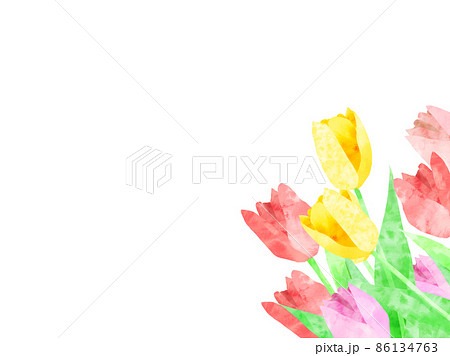 チューリップの壁紙 フレーム のイラスト素材