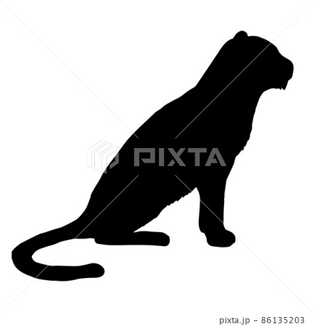 Vector hand drawn doodle sketch tiger silhouette Vector hand drawn doodle sketch tiger silhouette 86135203