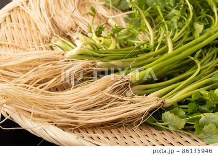 《秋田県・湯沢市産》三関セリ 86135946