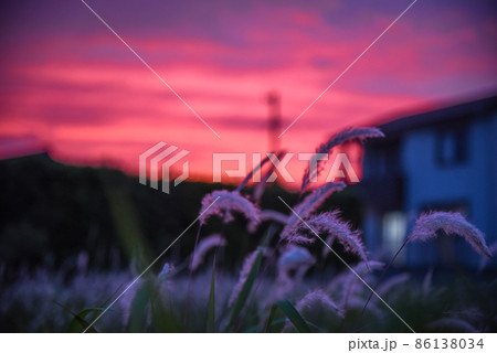 チガヤ越しの夕暮れ 86138034