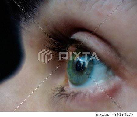 closeup of green human eye and eyebrow, iris and eyelashs 86138677