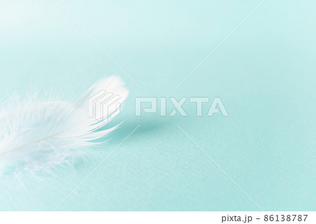 白い羽根の水色背景 86138787
