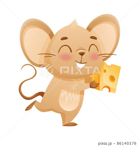 Cute happy little mouse with piece of cheese. Adorable funny baby animal character cartoon vector illustration Cute happy little mouse with piece of cheese. Adorable funny baby animal character cartoon vector illustration 86140376