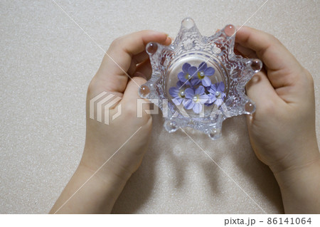 王冠にパープルのお花 こどもの手を添えて 右側に 王冠にパープルのお花 こどもの手を添えて 右側に 86141064