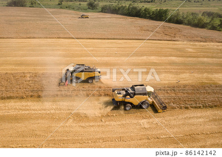 Aerial view of combine harvesters harvesting large yellow ripe wheat field. 86142142