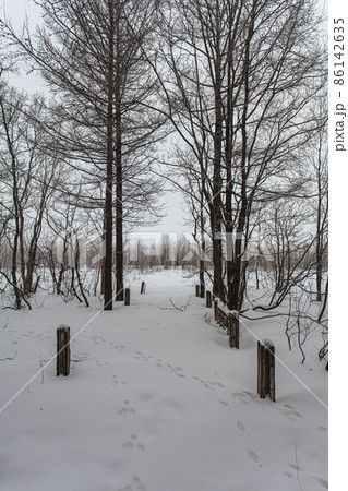 Old railway station at winter with painted walls Old railway station at winter with painted walls 86142635