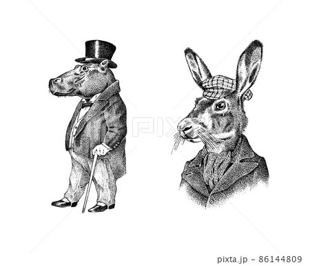 Hare or rabbit and hippopotamus. Antique gentleman in a cap and coat. Victorian Ancient Retro Hare or rabbit and hippopotamus. Antique gentleman in a cap and coat. Victorian Ancient Retro 86144809