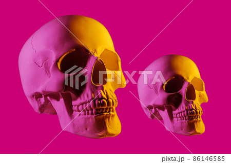 Pink yellow gypsum human skull isolated on purple background. Plaster sample model skull for students of art schools. Forensic science, anatomy and art education concept. Mockup for drawing design. 86146585