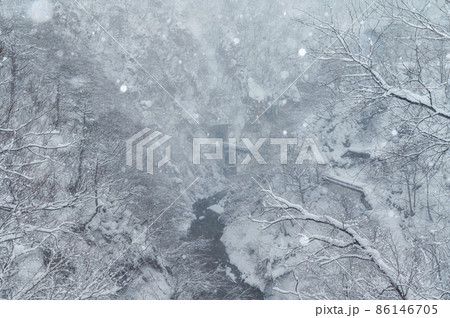 宮城県大崎市　吹雪の鳴子峡 86146705