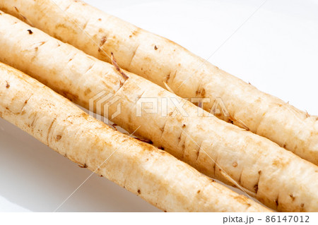 ごぼう(新ごぼう)のアップ。 86147012