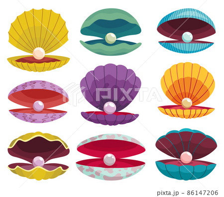 Pearls In Seashell Open Seashell Scallop And のイラスト素材