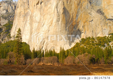 El Capitan 101 86147978