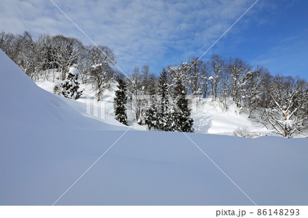 豪雪地の雪景色は美しい 福島県只見町 豪雪地の雪景色は美しい 福島県只見町 86148293