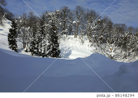 豪雪地の雪景色は美しい 福島県只見町 豪雪地の雪景色は美しい 福島県只見町 86148294