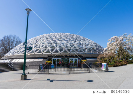 春のバンクーバー エリザベス女王公園 カナダ 春のバンクーバー エリザベス女王公園 カナダ 86149556
