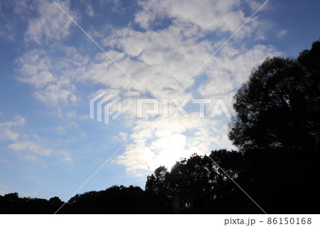 空　雲　木　太陽光 86150168
